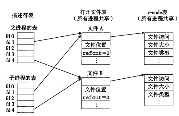 共享文件